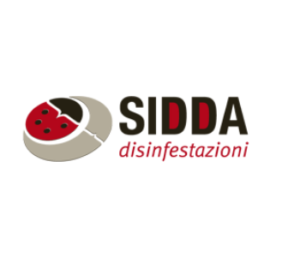 Sidda; Firenze; Marketing;