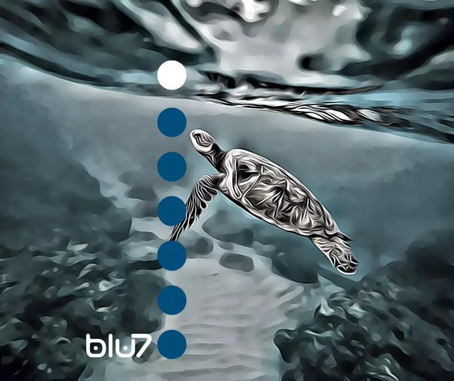 23 maggio; Giornata Mondiale; Tartarughe;