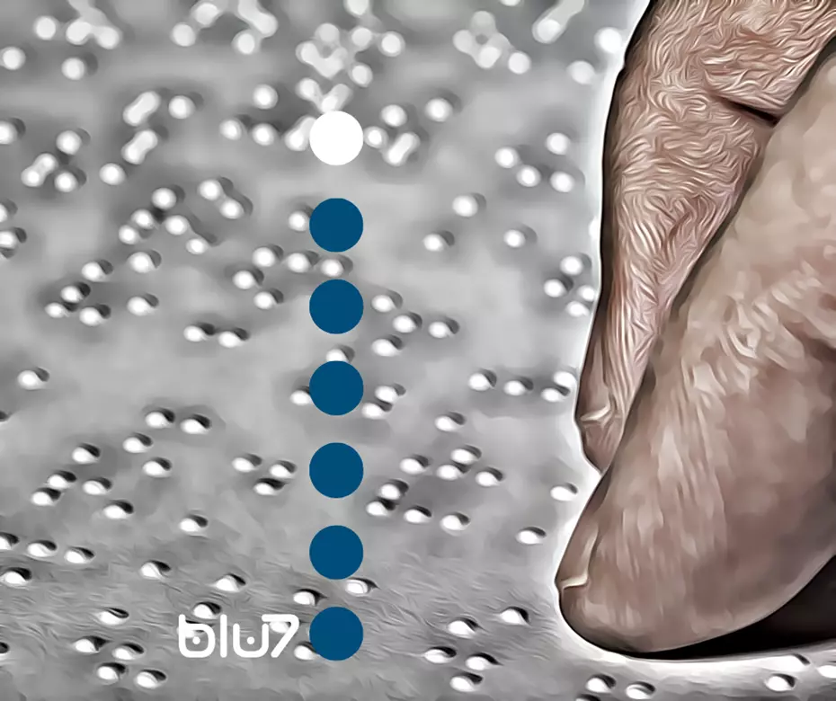 lettura con le dita; metodo Braille;