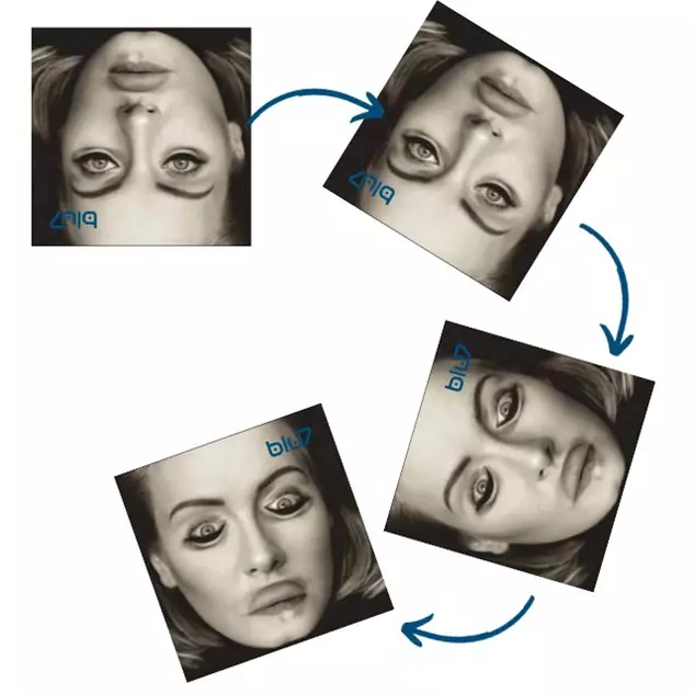 Effetto Thatcher; rotazione; studio;