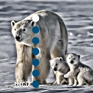 mamma orsa e i suoi piccoli; polo;
