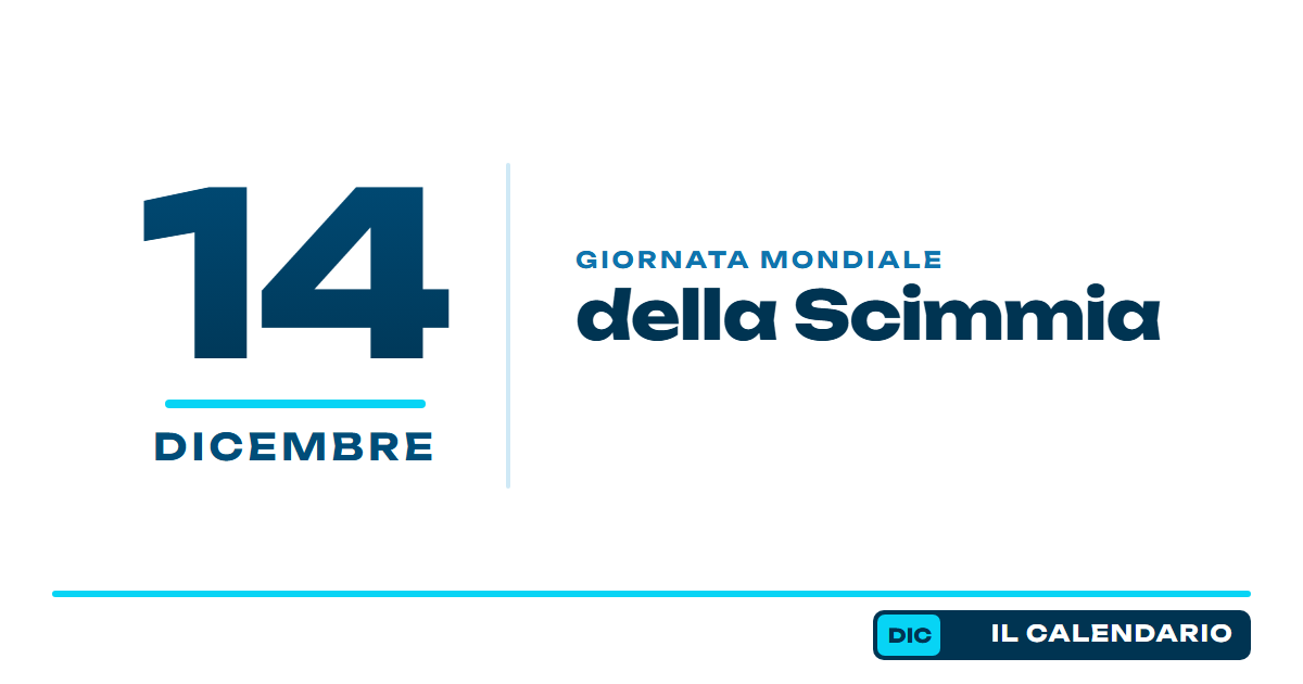 14 dicembre; giornata mondiale della scimmia; calendario del marketing